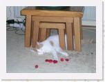 Tommy en Tymo 176 * 2048 x 1536 * (1.1MB)